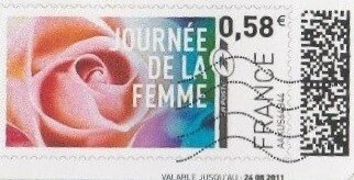 Pink Rose. Women's Day. Journee de la Femme