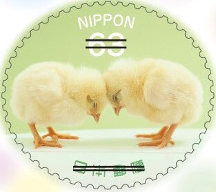 Baby Chicks