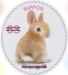Baby Rabbit