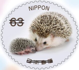 Baby Hedgehogs