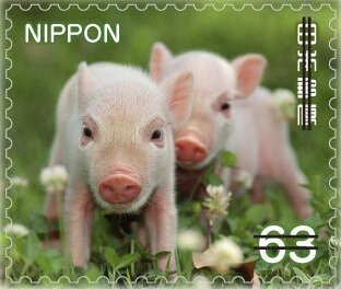 Piglets