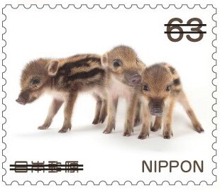 Baby Animals