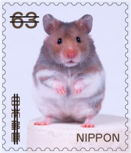 Baby Mouse