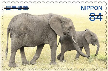 Adult and Young Elephant