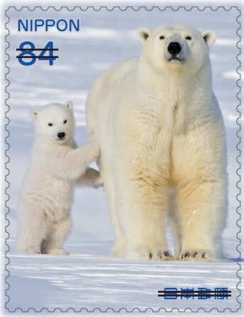 Adult and Young Polar Bear