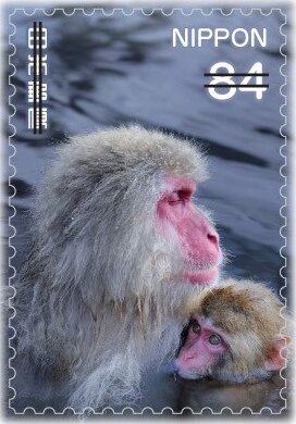 Adult and Young Monkey