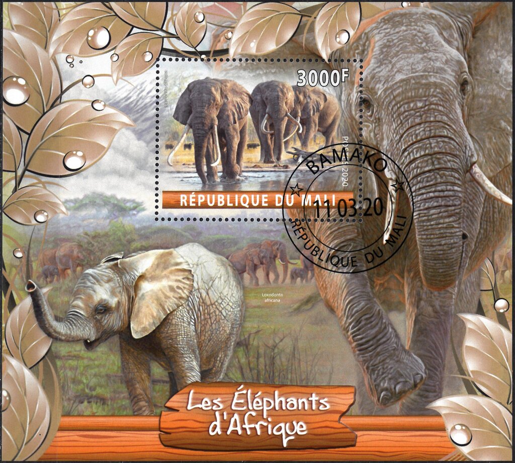 Les Elephants d'Afrique