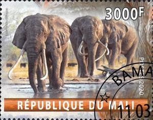 Stamp, Loxodonta Africana, Cinderellas,  , Animals (Fauna), Elephants, Mammals
