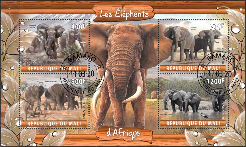 Les Elephants d'Afrique