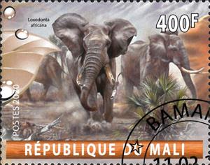 Stamp, Loxodonta Africana, Cinderellas,  , Animals (Fauna), Elephants, Mammals