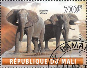 Stamp, Loxodonta Africana, Cinderellas,  , Animals (Fauna), Elephants, Mammals