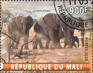 Stamp, Loxodonta Africana, Cinderellas,  , Animals (Fauna), Elephants, Mammals