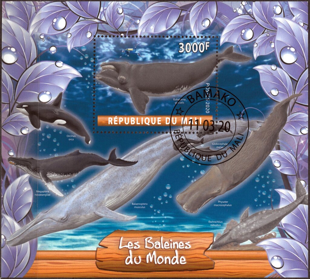 Les Baleines Monde