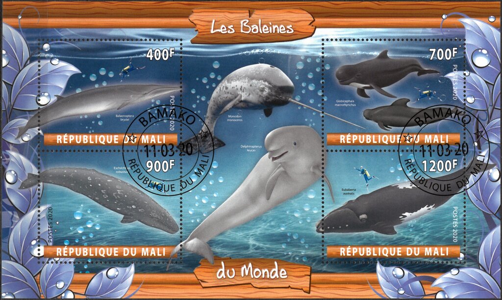 Les Baleines Monde