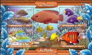 Mini Sheet, Les Poissons Monde, Cinderellas,  , Animals (Fauna), Fishes
