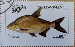 Stamp, Fish, Cinderellas,  , Fishes