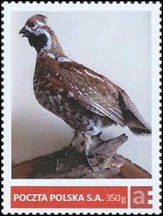 Stamp, TARNOWSKI BRANCH KKiKŁ PZŁ, Personalized and Private Mail Stamps,  , Birds