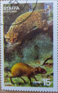Stamp, Mammals, Ocelot, Cinderellas,  , Mammals