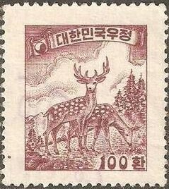 Sika Deer (Cervus nippon)