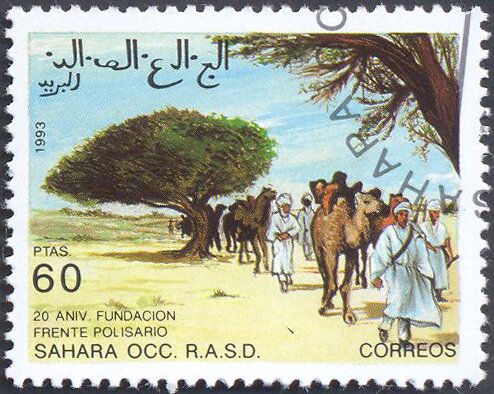 60th anniversary of the Polisario Front Foundation