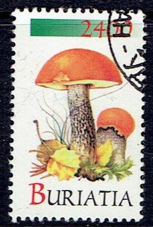 Mushrooms
