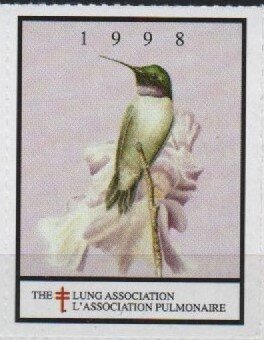 Hummingbird