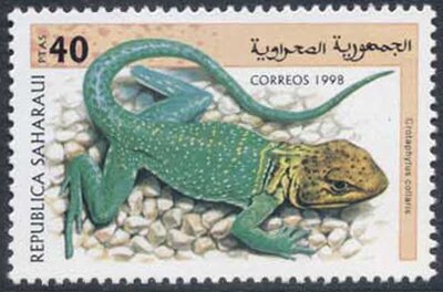 Stamp, Lizard, Cinderellas,  , Lizards, Reptiles