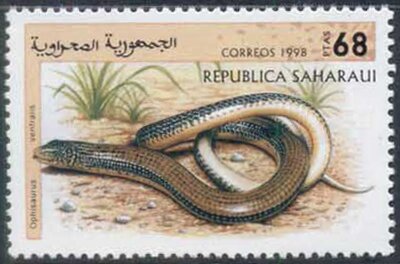 Snake
