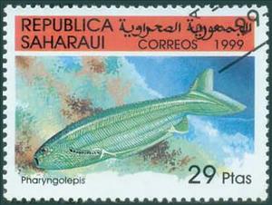 Stamp, Pharyngolepis, Cinderellas,  , Fishes, Sea Life