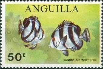 Stamp, Banded Butterflyfish (Chaetodon striatus), Anguilla,  , Fishes
