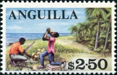 Coconut harvest