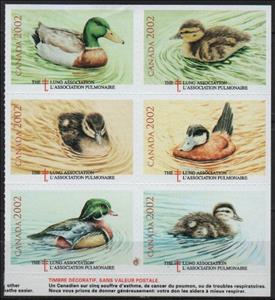 Se-tenant, Ducks, Cinderellas,  , Charity, Ducks, Tuberculosis / TBC
