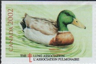 Stamp, Duck, Cinderellas,  , Charity, Ducks, Tuberculosis / TBC