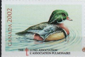 Stamp, Duck, Cinderellas,  , Charity, Ducks, Tuberculosis / TBC