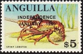 Caribbean Spiny Lobster (Panulirus argus)