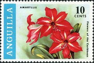 Stamp, Amaryllis, Anguilla,  , Flowers