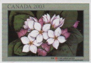 Stamp, Lung Association, Flowers, Cinderellas,  , Charity, Flowers, Tuberculosis / TBC