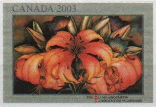 Lung Association, Flowers