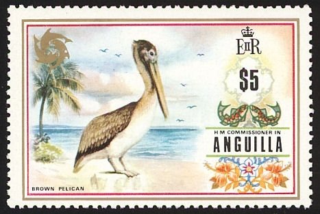 Brown Pelican (Pelecanus occidentalis)
