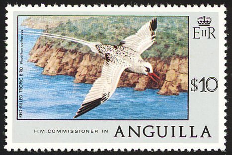 Red-billed Tropicbird (Phaethon aethereus)