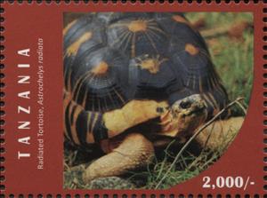Stamp, Radiated Tortoise (Astrochelys radiata), Tanzania,  , Animals (Fauna), Reptiles, Turtles