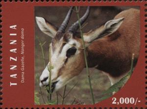 Stamp, Dama Gazelle (Nanger dama), Tanzania,  , Animals (Fauna), Mammals