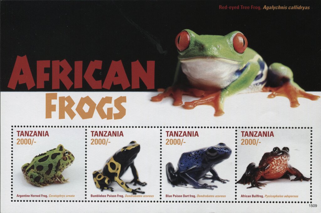 African Frogs