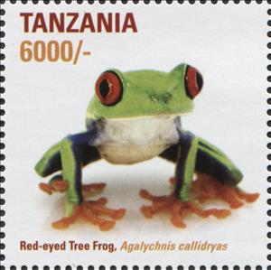 Stamp, Red-eyed Tree Frog (Agalynchis callidryas), Tanzania,  , Amphibians, Animals (Fauna), Frogs