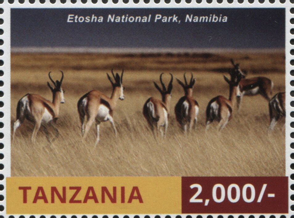 Etosha National Park, Namibia
