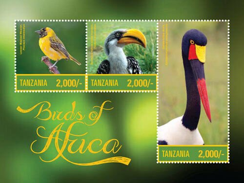 Birds of Africa
