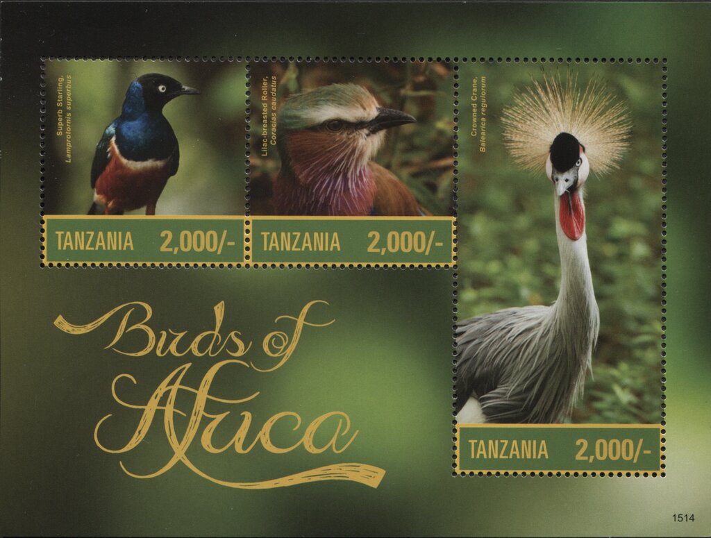 Birds of Africa