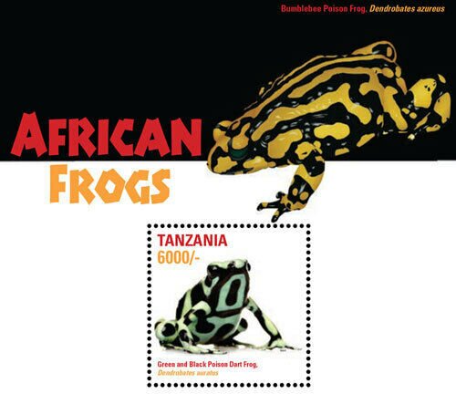 African Frogs