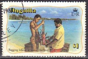 Bagging lobster, Island Harbor