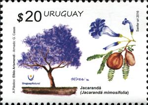 Stamp, Jacaranda (Jacaranda mimosifolia), Uruguay,  , Plants (Flora), Trees